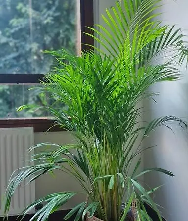 Appartamento Nuevo, Luminoso Y Céntrico. Parking Gratis Bilbao