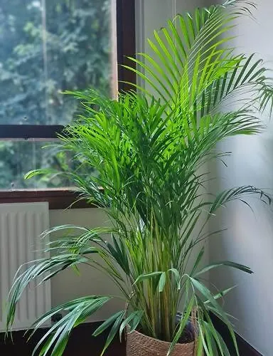 Apartment Nuevo, Luminoso Y Centrico. Parking Gratis Bilbao